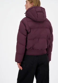 Jassen><noscript><img width=