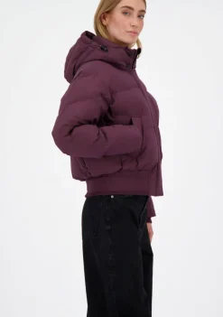 Jassen><noscript><img width=