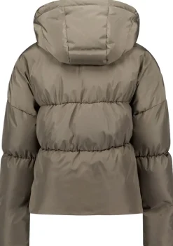 Jassen><noscript><img width=