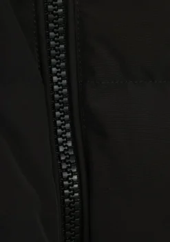 Jassen><noscript><img width=