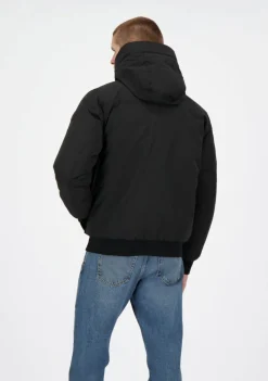 Jassen><noscript><img width=