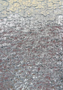 Truien><noscript><img width=