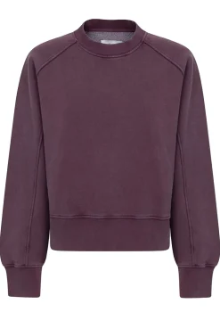 Truien|Sweaters>AME ANTWERP SWEATER Paars