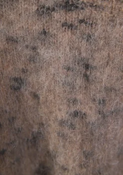 Truien><noscript><img width=