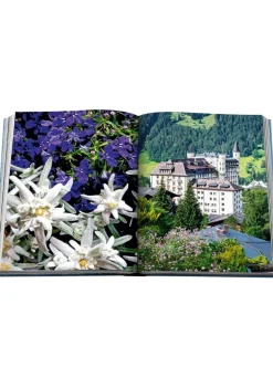 Accessoires>ASSOULINE ACCESSOIRE