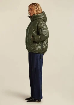 Jassen><noscript><img width=