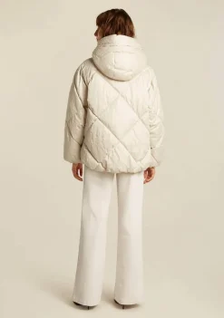 Jassen><noscript><img width=