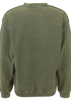 Truien>BRAMS FRUIT SWEATER Groen