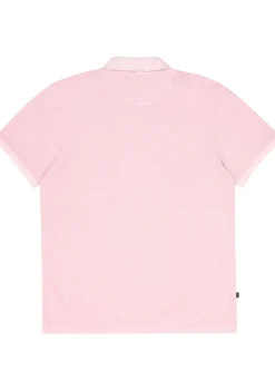 Polo's><noscript><img width=