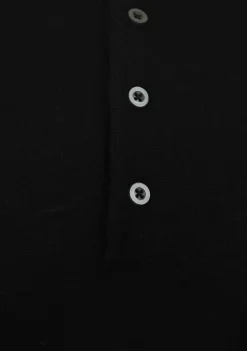 Polo's><noscript><img width=