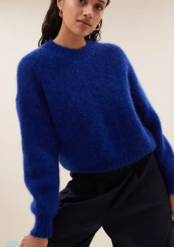 Truien><noscript><img width=