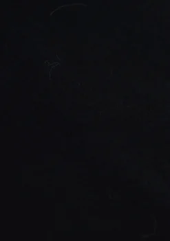 Truien><noscript><img width=