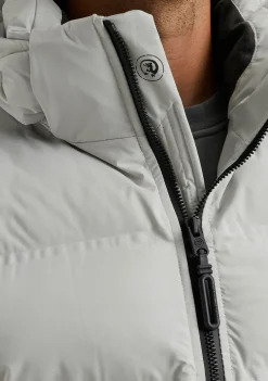 Jassen><noscript><img width=