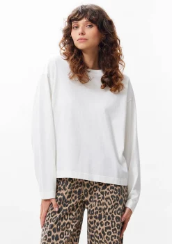 Shirts><noscript><img width=