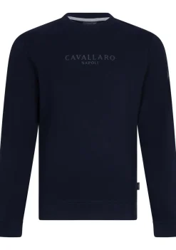Truien>CAVALLARO SWEATER Blauw