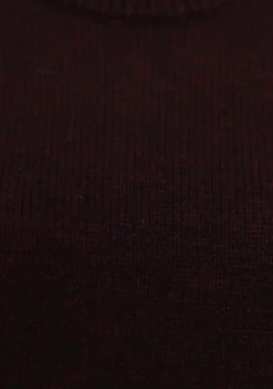 Truien><noscript><img width=