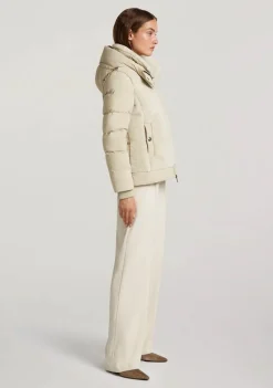 Jassen><noscript><img width=