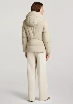 Jassen><noscript><img width=