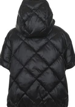 Jassen><noscript><img width=