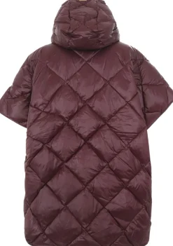 Jassen><noscript><img width=