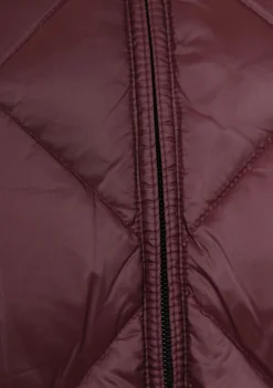 Jassen><noscript><img width=