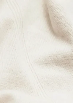 Truien><noscript><img width=