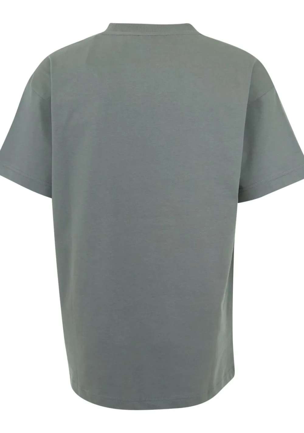 T-Shirts>FLANEUR TSHIRT Groen