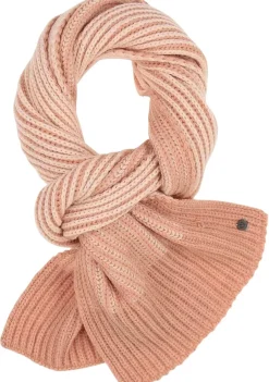 Accessoires><noscript><img width=