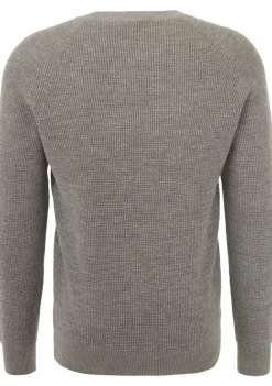 Truien>GENTILUOMO TRUI Bruin