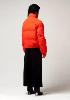 Jassen><noscript><img width=