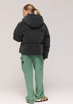 Jassen><noscript><img width=