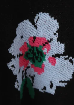 Vesten><noscript><img width=