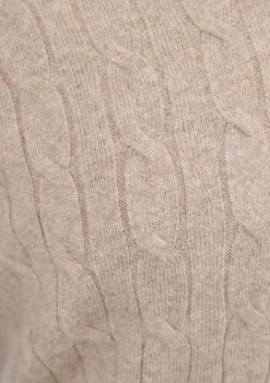 Truien><noscript><img width=