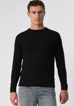 Truien><noscript><img width=