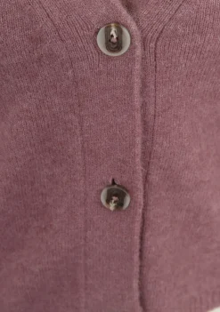 Vesten><noscript><img width=