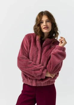 Blazers & Jasjes><noscript><img width=