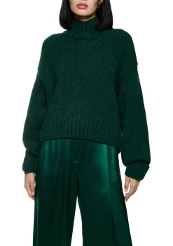 Truien><noscript><img width=