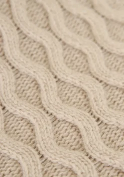 Truien><noscript><img width=