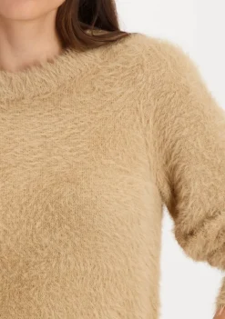 Truien><noscript><img width=