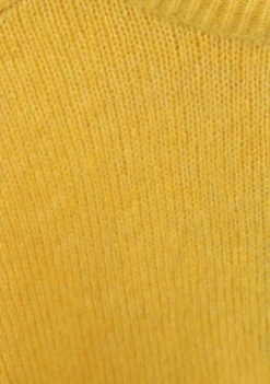 Truien><noscript><img width=