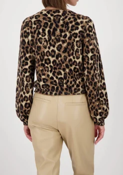 Vesten><noscript><img width=