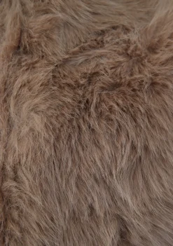 Jassen><noscript><img width=