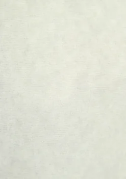 Truien><noscript><img width=