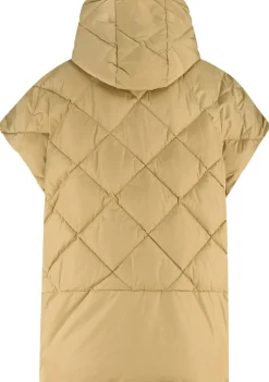 Jassen><noscript><img width=