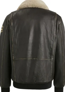 Jassen><noscript><img width=