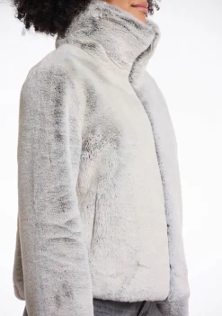 Jassen><noscript><img width=