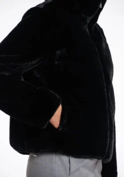 Jassen><noscript><img width=