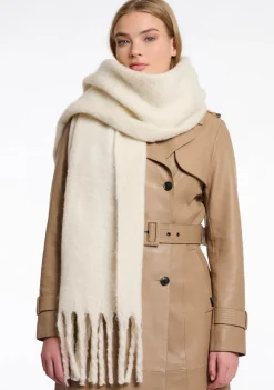 Accessoires><noscript><img width=