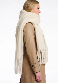 Accessoires><noscript><img width=