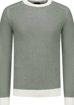 Truien>SAINT STEVE TRUI Groen